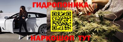 бошки Аргун