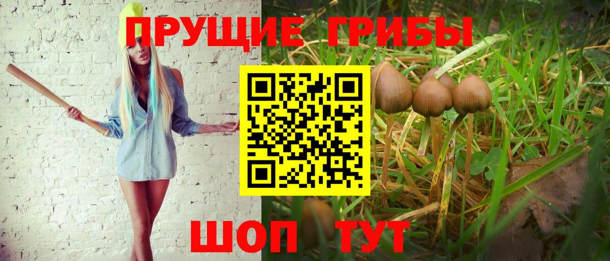 Псилоцибиновые грибы Psilocybe  купить закладку  Вход с VPN  Братск  Псилоцибиновые грибы Magic Shrooms 