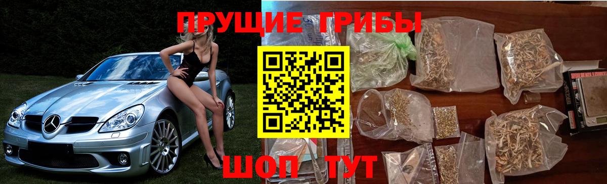 Псилоцибиновые грибы ЛСД Братск